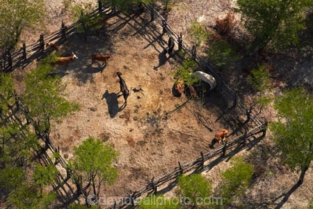 aerial;aerial-image;aerial-images;aerial-photo;aerial-photograph;aerial-photographs;aerial-photography;aerial-photos;aerial-view;aerial-views;aerials;Africa;boma;bomas;Botswana;cattle-pen;cattle-pens;cattle-yard;cattle-yards;corral;corrals;krall;kralls;livestock-enclosure;livestock-enclosures;Southern-Africa