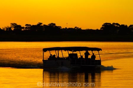 Africa;African-sunset;African-sunsets;boat;boats;Botswana;calm;Chobe-River;Chobe-Safari-Lodge;cruise;cruises;dusk;evening;Kasane;night;night_time;nightfall;orange;placid;quiet;reflected;reflection;reflections;river;rivers;Sedudu-Bar;serene;smooth;Southern-Africa;still;sundowner-cruise;sundowner-cruises;Sunset;Sunset-Bar;sunset-cruise;sunset-cruises;sunsets;tour;tour-boat;tour-boats;tourism;tourist;tourist-boat;tourist-boats;tourists;tours;tranquil;twilight;water;wildlife-cruise;wildlife-crusies