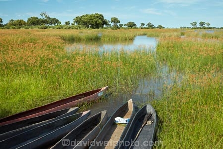 Africa;African;boat;boats;Botswana;canoe;canoes;delta;deltas;dugout;dugout-canoe;dugout-canoes;dugouts;Endorheic-basin;inland-delta;internal-drainage-systems;logboat;makoro;makoros;mekoro;mekoros;mokoro;mokoro-safari;Mokoros;Okavango;Okavango-Delta;Okavango-Swamp;pirogue;pirogues;river-delta;safari;safaris;Seven-Natural-Wonders-of-Africa;Southern-Africa