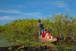 Africa;aquatic-plant;aquatic-plants;boat;boats;Botswana;canoe;canoes;Cyperaceae;Cyperus-papyrus;delta;deltas;dugout;dugout-canoe;dugout-canoes;dugouts;Endorheic-basin;girl;girls;inland-delta;internal-drainage-systems;lily-pad;lily-pads;logboat;makoro;makoros;mekoro;mekoros;mokoro;mokoro-safari;mokoros;monoxylon;Nymphaeaceae;Okavango;Okavango-Delta;Okavango-Swamp;paper-reed;paper-reeds;papyrus-reed;papyrus-reeds;papyrus-sedge;people;person;pirogue;pirogues;plant;plants;reed;reeds;river-delta;Seven-Natural-Wonders-of-Africa;Southern-Africa;tourism;tourist;tourists;water-lilies;water-lily;water-lily-pad;water-lily-pads;water-plant;water_lilies;water_lily;waterlilies;waterlily;waterlily-pad;waterlily-pads;waterplants