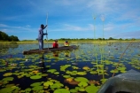 Africa;African;aquatic-plant;aquatic-plants;boat;boats;Botswana;boy;boys;canoe;canoes;delta;deltas;dugout;dugout-canoe;dugout-canoes;dugouts;Endorheic-basin;female;inland-delta;internal-drainage-systems;lily-pad;lily-pads;logboat;makoro;makoros;mekoro;mekoros;mokoro;mokoro-safari;mokoros;monoxylon;Nymphaeaceae;Okavango;Okavango-Delta;Okavango-Swamp;people;person;pirogue;pirogues;plant;plants;poler;polers;river-delta;Seven-Natural-Wonders-of-Africa;Southern-Africa;tourism;tourist;tourists;water-lilies;water-lily;water-lily-pad;water-lily-pads;water_lilies;water_lily;waterlilies;waterlily;waterlily-pad;waterlily-pads;woman;women