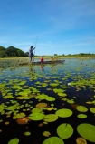 Africa;African;aquatic-plant;aquatic-plants;boat;boats;Botswana;boy;boys;canoe;canoes;delta;deltas;dugout;dugout-canoe;dugout-canoes;dugouts;Endorheic-basin;female;inland-delta;internal-drainage-systems;lily-pad;lily-pads;logboat;makoro;makoros;mekoro;mekoros;mokoro;mokoro-safari;mokoros;monoxylon;Nymphaeaceae;Okavango;Okavango-Delta;Okavango-Swamp;people;person;pirogue;pirogues;plant;plants;poler;polers;river-delta;Seven-Natural-Wonders-of-Africa;Southern-Africa;tourism;tourist;tourists;water-lilies;water-lily;water-lily-pad;water-lily-pads;water_lilies;water_lily;waterlilies;waterlily;waterlily-pad;waterlily-pads;woman;women