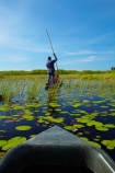 Africa;African;aquatic-plant;aquatic-plants;boat;boats;Botswana;canoe;canoes;delta;deltas;dugout;dugout-canoe;dugout-canoes;dugouts;Endorheic-basin;inland-delta;internal-drainage-systems;lily-pad;lily-pads;logboat;makoro;makoros;mekoro;mekoros;mokoro;mokoro-safari;mokoros;monoxylon;Nymphaeaceae;Okavango;Okavango-Delta;Okavango-Swamp;people;person;pirogue;pirogues;plant;plants;poler;polers;river-delta;Seven-Natural-Wonders-of-Africa;Southern-Africa;tourism;tourist;tourists;water-lilies;water-lily;water-lily-pad;water-lily-pads;water_lilies;water_lily;waterlilies;waterlily;waterlily-pad;waterlily-pads