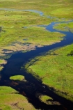 aerial;aerial-image;aerial-images;aerial-photo;aerial-photograph;aerial-photographs;aerial-photography;aerial-photos;aerial-view;aerial-views;aerials;Africa;boat;boats;Boro-River;Botswana;canoe;canoes;chanel;chanels;delta;deltas;dugout;dugout-canoe;dugout-canoes;dugouts;Endorheic-basin;flood-plain;flood-plains;flood_plain;flood_plains;floodplain;floodplains;inland-delta;internal-drainage-systems;logboat;makoro;makoros;mekoro;mekoros;mokoro;mokoros;monoxylon;Okavango;Okavango-Delta;Okavango-Swamp;pirogue;pirogues;plain;plains;river;river-delta;rivers;Seven-Natural-Wonders-of-Africa;Southern-Africa;stream;streams;swamp;swampland;swamps;water;channel;channels;