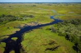 aerial;aerial-image;aerial-images;aerial-photo;aerial-photograph;aerial-photographs;aerial-photography;aerial-photos;aerial-view;aerial-views;aerials;Africa;boat;boats;Boro-River;Botswana;canoe;canoes;chanel;chanels;delta;deltas;dugout;dugout-canoe;dugout-canoes;dugouts;Endorheic-basin;flood-plain;flood-plains;flood_plain;flood_plains;floodplain;floodplains;inland-delta;internal-drainage-systems;logboat;makoro;makoros;mekoro;mekoros;mokoro;mokoros;monoxylon;Okavango;Okavango-Delta;Okavango-Swamp;pirogue;pirogues;plain;plains;river;river-delta;rivers;Seven-Natural-Wonders-of-Africa;Southern-Africa;stream;streams;swamp;swampland;swamps;water;channel;channels;