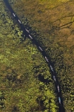 aerial;aerial-image;aerial-images;aerial-photo;aerial-photograph;aerial-photographs;aerial-photography;aerial-photos;aerial-view;aerial-views;aerials;Africa;boat;boats;Botswana;canoe;canoes;chanel;chanels;delta;deltas;dugout;dugout-canoe;dugout-canoes;dugouts;Endorheic-basin;flood-plain;flood-plains;flood_plain;flood_plains;floodplain;floodplains;inland-delta;internal-drainage-systems;logboat;makoro;makoro-safari;makoros;mekoro;mekoro-safari;mekoros;mokoro;mokoro-safari;mokoros;monoxylon;Okavango;Okavango-Delta;Okavango-Swamp;people;person;pirogue;pirogues;plain;plains;river;river-delta;rivers;Seven-Natural-Wonders-of-Africa;Southern-Africa;stream;streams;swamp;swampland;swamps;tourism;tourist;tourists;water;channel;channels;