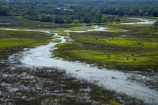 aerial;aerial-image;aerial-images;aerial-photo;aerial-photograph;aerial-photographs;aerial-photography;aerial-photos;aerial-view;aerial-views;aerials;Africa;Boro-River;Botswana;delta;deltas;Endorheic-basin;flood-plain;flood-plains;flood_plain;flood_plains;floodplain;floodplains;inland-delta;internal-drainage-systems;Okavango;Okavango-Delta;Okavango-Swamp;plain;plains;pond;ponds;river-delta;Seven-Natural-Wonders-of-Africa;Southern-Africa;swamp;swampland;swamps;water