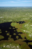 aerial;aerial-image;aerial-images;aerial-photo;aerial-photograph;aerial-photographs;aerial-photography;aerial-photos;aerial-view;aerial-views;aerials;Africa;Botswana;delta;deltas;Endorheic-basin;flood-plain;flood-plains;flood_plain;flood_plains;floodplain;floodplains;inland-delta;internal-drainage-systems;Okavango;Okavango-Delta;Okavango-Swamp;plain;plains;pond;ponds;river-delta;Seven-Natural-Wonders-of-Africa;Southern-Africa;swamp;swampland;swamps;water