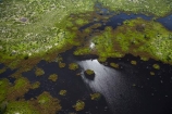 aerial;aerial-image;aerial-images;aerial-photo;aerial-photograph;aerial-photographs;aerial-photography;aerial-photos;aerial-view;aerial-views;aerials;Africa;Botswana;delta;deltas;Endorheic-basin;flood-plain;flood-plains;flood_plain;flood_plains;floodplain;floodplains;inland-delta;internal-drainage-systems;Okavango;Okavango-Delta;Okavango-Swamp;plain;plains;pond;ponds;river-delta;Seven-Natural-Wonders-of-Africa;Southern-Africa;swamp;swampland;swamps;water