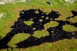 aerial;aerial-image;aerial-images;aerial-photo;aerial-photograph;aerial-photographs;aerial-photography;aerial-photos;aerial-view;aerial-views;aerials;Africa;Botswana;delta;deltas;Endorheic-basin;flood-plain;flood-plains;flood_plain;flood_plains;floodplain;floodplains;inland-delta;internal-drainage-systems;Okavango;Okavango-Delta;Okavango-Swamp;plain;plains;pond;ponds;river-delta;Seven-Natural-Wonders-of-Africa;Southern-Africa;swamp;swampland;swamps;water
