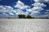 Adansonia;Adansonia-digitata;Africa;alkalii-flat;Baines-Baobabs;Baines-Baobabs;Baines-Baobabs;baobab;baobab-tree;baobab-trees;baobabs;barren;barreness;basin;Botswana;clay-pan;clay-pans;cloud;clouds;depression;desert;deserts;desolate;dry;dry-lake;dry-lake-bed;dry-lake-beds;dry-lakes;empty;endorheric;endorheric-basin;endorheric-basins;endorheric-lake;extreme;flat;geographic;geography;glare;glary;Kudiakam-Pan;lake;lake-bed;lake-beds;lakes;Makgadikgadi-Pan;Makgadikgadi-Pans;national-park;national-parks;Nxai-Pan-N.P.;Nxai-Pan-National-Park;Nxai-Pan-NP;pan;pans;playa;playas;remote;remoteness;rock-salt;sabkha;saline;salt;salt-crust;salt-lake;salt-lakes;salt-pan;salt-pans;salt-rock;salt-rocks;salt_pan;salt_pans;saltpan;saltpans;salty;skies;sky;Southern-Africa;tree;trees;vast;vlei;white;white-surface;wilderness