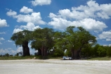 4wd;4wds;4wds;4x4;4x4s;4x4s;Adansonia;Adansonia-digitata;Africa;alkalii-flat;Baines-Baobabs;Baines-Baobabs;Baines-Baobabs;baobab;baobab-tree;baobab-trees;baobabs;barren;barreness;basin;Botswana;Bushlore;Bushlore-4x4;Bushlore-4x4-camper;camper;campers;clay-pan;clay-pans;cloud;clouds;depression;desert;deserts;desolate;double-cab-hilux;dry;dry-lake;dry-lake-bed;dry-lake-beds;dry-lakes;empty;endorheric;endorheric-basin;endorheric-basins;endorheric-lake;extreme;flat;four-by-four;four-by-fours;four-wheel-drive;four-wheel-drives;geographic;geography;glare;glary;Hilux;hilux-camper;Hiluxes;Kudiakam-Pan;lake;lake-bed;lake-beds;lakes;Makgadikgadi-Pan;Makgadikgadi-Pans;national-park;national-parks;Nxai-Pan-N.P.;Nxai-Pan-National-Park;Nxai-Pan-NP;pan;pans;playa;playas;remote;remoteness;roof-tent;roof-tents;sabkha;saline;salt;salt-crust;salt-lake;salt-lakes;salt-pan;salt-pans;salt_pan;salt_pans;saltpan;saltpans;salty;skies;sky;Southern-Africa;sports-utility-vehicle;sports-utility-vehicles;suv;suvs;Toyota;toyota-camper;Toyota-Hilux;Toyota-Hiluxes;Toyotas;tree;trees;twin-cab-hilux;vast;vehicle;vehicles;vlei;white;white-surface;wilderness