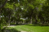 Africa;Botswana;Camp;Camp-Ground;Camp-Grounds;Camp-Site;Camp-Sites;Camping;Camping-Area;Camping-Areas;Camping-Ground;Camping-Grounds;Camping-Site;Camping-Sites;national-park;national-parks;Nxai-Pan-N.P.;Nxai-Pan-National-Park;Nxai-Pan-NP;Nxai-Pan-South-Camp;Nxai-South-Camp;South-Camp;Southern-Africa