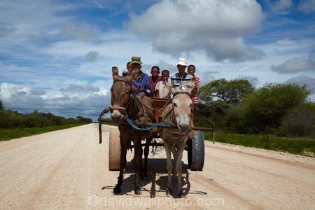 3rd-world;Africa;African;Africans;boy;boys;C44-road;cart;carts;donkey;donkey-cart;donkey-carts;donkeys;families;family;gravel-road;gravel-roads;man;men;metal-road;metal-roads;metalled-road;metalled-roads;Namibia;Otjozondjupa-District;Otjozondjupa-Region;people;person;poor;poverty;road;roads;Southern-Africa;third-world;transport;transportation;Tsumkwe;waggon;waggons;wagon;wagons