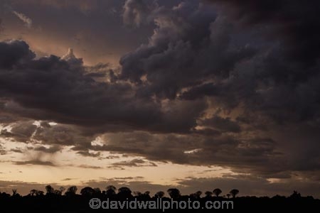 karas;karas-region;africa;african;aloe;Aloe-dichotoma;aloes;approaching-storm;approaching-storms;bark;black-cloud;black-clouds;botany;cloud;clouds;cloudy;dark-cloud;dark-clouds;desert;desert-plant;desert-plants;dusk;evening;forest;forests;gray-cloud;gray-clouds;grey-cloud;grey-clouds;Keetmanshoop;kokerboom-forest;Kokerboom-Tree;Kokerboom-Trees;Mesosaurus-Camp;Mesosaurus-Fossil-Camp;nambia;Namib-Desert;Namibia;namibian;nature;night;night_time;nightfall;plant;plants;Quiver-Tree;quiver-tree-forest;Quiver-Trees;quivers;quivertree-forest;rain-cloud;rain-clouds;rain-storm;rain-storms;Southern-Africa;Southern-Namiba;southern-Namibia;storm;storm-cloud;storm-clouds;storms;sunset;sunsets;thunder-storm;thunder-storms;thunderstorm;thunderstorms;tree;trees;twilight;unusual;vegetation;weather;Aloidendron-dichotomum