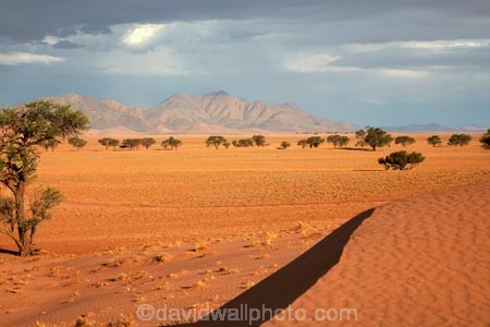 Africa;African;desert;deserts;dune;dunes;Namib-Desert;Namib-Rand;Namib-Rand-Nature-Reserve;Namibia;NamibRand;NamibRand-Family-Hideout;NamibRand-Nature-Reserve;NamibRand-Reserve;NRNR;safari;safaris;sand;sand-dune;sand-dunes;sand-hill;sand-hills;sand_dune;sand_dunes;sand_hill;sand_hills;sanddune;sanddunes;sandhill;sandhills;sandy;Southern-Africa;Southern-Namibia