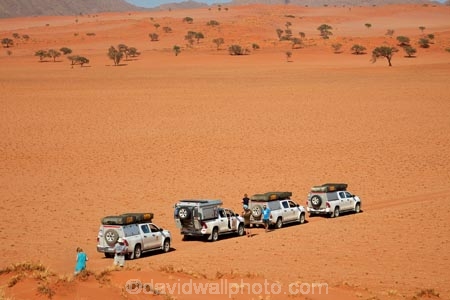 4wd;4wd-track;4wd-tracks;4wds;4wds;4x4;4x4-track;4x4-tracks;4x4s;4x4s;Africa;African;Bushlore;Bushlore-4x4;Bushlore-4x4-camper;camper;campers;desert;deserts;double-cab-hilux;four-by-four;four-by-fours;four-wheel-drive;four-wheel-drives;Hilux;hilux-camper;Hiluxes;Namib-Desert;Namib-Rand;Namib-Rand-Nature-Reserve;Namibia;NamibRand;NamibRand-Family-Hideout;NamibRand-Nature-Reserve;NamibRand-Reserve;NRNR;roof-tent;roof-tents;safari;safaris;sand;sandy;sandy-track;sandy-tracks;self-drive-route;self-drive-track;Southern-Africa;Southern-Namibia;sports-utility-vehicle;sports-utility-vehicles;suv;suvs;Toyota;toyota-camper;Toyota-Hilux;Toyota-Hiluxes;Toyotas;track;tracks;twin-cab-hilux;vehicle;vehicles;wilderness