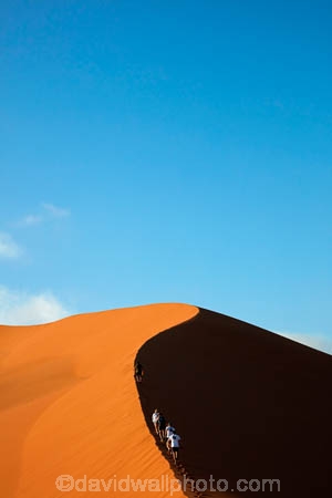 adventure;adventurous;Africa;African;arid;big-dunes;Dead-vlei;Deadvlei;desert;deserts;dry;dune;dunes;giant-dune;giant-dunes;giant-sand-dune;giant-sand-dunes;holiday;holidays;hot;huge-dunes;large-dunes;Namib-Desert;Namib-Naukluft-N.P.;Namib-Naukluft-National-Park;Namib-Naukluft-NP;Namib_Naukluft-N.P.;Namib_Naukluft-National-Park;Namib_Naukluft-NP;Namibia;national-park;national-parks;natural;orange-sand;people;person;remote;remoteness;reserve;reserves;sand;sand-dune;sand-dunes;sand-hill;sand-hills;sand_dune;sand_dunes;sand_hill;sand_hills;sanddune;sanddunes;sandhill;sandhills;sandy;Sossusvlei;Southern-Africa;tourism;tourist;tourists;wilderness