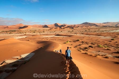 adventure;adventurous;Africa;African;arid;big-dunes;Dead-vlei;Deadvlei;desert;deserts;dry;dune;dunes;giant-dune;giant-dunes;giant-sand-dune;giant-sand-dunes;holiday;holidays;hot;huge-dunes;large-dunes;Namib-Desert;Namib-Naukluft-N.P.;Namib-Naukluft-National-Park;Namib-Naukluft-NP;Namib_Naukluft-N.P.;Namib_Naukluft-National-Park;Namib_Naukluft-NP;Namibia;national-park;national-parks;natural;orange-sand;people;person;remote;remoteness;reserve;reserves;sand;sand-dune;sand-dunes;sand-hill;sand-hills;sand_dune;sand_dunes;sand_hill;sand_hills;sanddune;sanddunes;sandhill;sandhills;sandy;Sossusvlei;Southern-Africa;tourism;tourist;tourists;wilderness