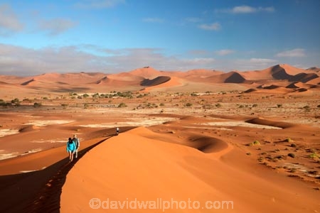 adventure;adventurous;Africa;African;arid;big-dunes;Dead-vlei;Deadvlei;desert;deserts;dry;dune;dunes;giant-dune;giant-dunes;giant-sand-dune;giant-sand-dunes;holiday;holidays;hot;huge-dunes;large-dunes;Namib-Desert;Namib-Naukluft-N.P.;Namib-Naukluft-National-Park;Namib-Naukluft-NP;Namib_Naukluft-N.P.;Namib_Naukluft-National-Park;Namib_Naukluft-NP;Namibia;national-park;national-parks;natural;orange-sand;people;person;remote;remoteness;reserve;reserves;sand;sand-dune;sand-dunes;sand-hill;sand-hills;sand_dune;sand_dunes;sand_hill;sand_hills;sanddune;sanddunes;sandhill;sandhills;sandy;Sossusvlei;Southern-Africa;tourism;tourist;tourists;wilderness