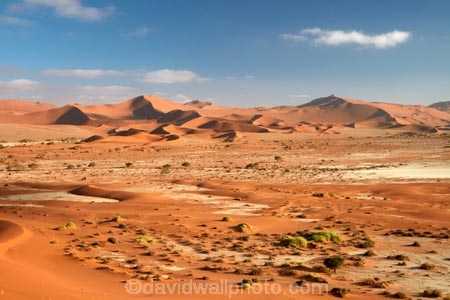 Africa;African;arid;big-dunes;desert;deserts;dry;dune;dunes;giant-dune;giant-dunes;giant-sand-dune;giant-sand-dunes;hot;huge-dunes;large-dunes;Namib-Desert;Namib-Naukluft-N.P.;Namib-Naukluft-National-Park;Namib-Naukluft-NP;Namib_Naukluft-N.P.;Namib_Naukluft-National-Park;Namib_Naukluft-NP;Namibia;national-park;national-parks;natural;orange-sand;remote;remoteness;reserve;reserves;sand;sand-dune;sand-dunes;sand-hill;sand-hills;sand_dune;sand_dunes;sand_hill;sand_hills;sanddune;sanddunes;sandhill;sandhills;sandy;Sossusvlei;Southern-Africa;wilderness