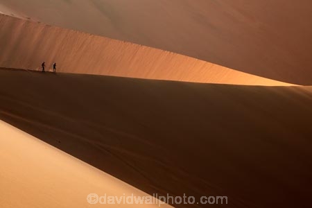 adventure;adventurous;Africa;African;arid;big-dunes;Dead-vlei;Deadvlei;desert;deserts;dry;dune;dunes;giant-dune;giant-dunes;giant-sand-dune;giant-sand-dunes;holiday;holidays;hot;huge-dunes;large-dunes;Namib-Desert;Namib-Naukluft-N.P.;Namib-Naukluft-National-Park;Namib-Naukluft-NP;Namib_Naukluft-N.P.;Namib_Naukluft-National-Park;Namib_Naukluft-NP;Namibia;national-park;national-parks;natural;orange-sand;people;person;remote;remoteness;reserve;reserves;sand;sand-dune;sand-dunes;sand-hill;sand-hills;sand_dune;sand_dunes;sand_hill;sand_hills;sanddune;sanddunes;sandhill;sandhills;sandy;Sossusvlei;Southern-Africa;tourism;tourist;tourists;wilderness