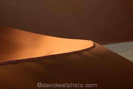 adventure;adventurous;Africa;African;arid;big-dunes;Dead-vlei;Deadvlei;desert;deserts;dry;dune;dunes;giant-dune;giant-dunes;giant-sand-dune;giant-sand-dunes;holiday;holidays;hot;huge-dunes;large-dunes;Namib-Desert;Namib-Naukluft-N.P.;Namib-Naukluft-National-Park;Namib-Naukluft-NP;Namib_Naukluft-N.P.;Namib_Naukluft-National-Park;Namib_Naukluft-NP;Namibia;national-park;national-parks;natural;orange-sand;people;person;remote;remoteness;reserve;reserves;sand;sand-dune;sand-dunes;sand-hill;sand-hills;sand_dune;sand_dunes;sand_hill;sand_hills;sanddune;sanddunes;sandhill;sandhills;sandy;Sossusvlei;Southern-Africa;tourism;tourist;tourists;wilderness