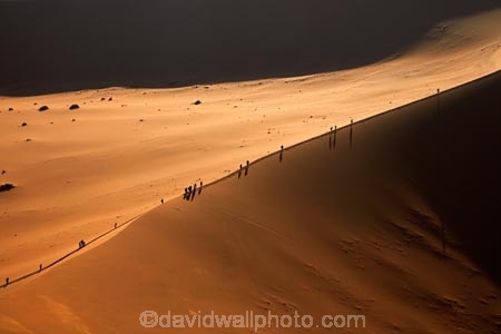 adventure;adventurous;Africa;African;arid;big-dunes;Dead-vlei;Deadvlei;desert;deserts;dry;dune;dunes;giant-dune;giant-dunes;giant-sand-dune;giant-sand-dunes;holiday;holidays;hot;huge-dunes;large-dunes;Namib-Desert;Namib-Naukluft-N.P.;Namib-Naukluft-National-Park;Namib-Naukluft-NP;Namib_Naukluft-N.P.;Namib_Naukluft-National-Park;Namib_Naukluft-NP;Namibia;national-park;national-parks;natural;orange-sand;people;person;remote;remoteness;reserve;reserves;sand;sand-dune;sand-dunes;sand-hill;sand-hills;sand_dune;sand_dunes;sand_hill;sand_hills;sanddune;sanddunes;sandhill;sandhills;sandy;Sossusvlei;Southern-Africa;tourism;tourist;tourists;wilderness