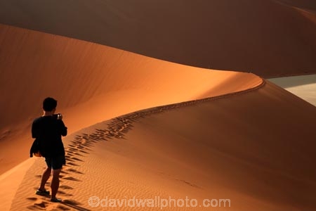 adventure;adventurous;Africa;African;arid;big-dunes;Dead-vlei;Deadvlei;desert;deserts;dry;dune;dunes;giant-dune;giant-dunes;giant-sand-dune;giant-sand-dunes;holiday;holidays;hot;huge-dunes;large-dunes;Namib-Desert;Namib-Naukluft-N.P.;Namib-Naukluft-National-Park;Namib-Naukluft-NP;Namib_Naukluft-N.P.;Namib_Naukluft-National-Park;Namib_Naukluft-NP;Namibia;national-park;national-parks;natural;orange-sand;people;person;remote;remoteness;reserve;reserves;sand;sand-dune;sand-dunes;sand-hill;sand-hills;sand_dune;sand_dunes;sand_hill;sand_hills;sanddune;sanddunes;sandhill;sandhills;sandy;Sossusvlei;Southern-Africa;tourism;tourist;tourists;wilderness