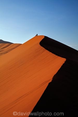 Africa;arid;big-dunes;children;Dead-vlei;Deadvlei;desert;deserts;dry;dune;dunes;families;family;family-holiday;family-holidays;giant-dune;giant-dunes;giant-sand-dune;giant-sand-dunes;holiday;holidays;hot;huge-dunes;large-dunes;Namib-Desert;Namib-Naukluft-N.P.;Namib-Naukluft-National-Park;Namib-Naukluft-NP;Namib_Naukluft-N.P.;Namib_Naukluft-National-Park;Namib_Naukluft-NP;Namibia;national-park;national-parks;natural;orange-sand;people;person;remote;remoteness;reserve;reserves;sand;sand-dune;sand-dunes;sand-hill;sand-hills;sand_dune;sand_dunes;sand_hill;sand_hills;sanddune;sanddunes;sandhill;sandhills;sandy;Sossusvlei;Southern-Africa;tourism;tourist;tourists;wilderness