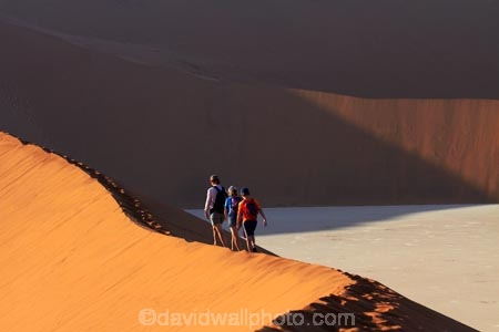 adventure;adventurous;Africa;arid;big-dunes;children;clay-pan;clay-pans;Dead-Vlei;Deadvlei;desert;deserts;dry;dune;dunes;families;family;family-holiday;family-holidays;giant-dune;giant-dunes;giant-sand-dune;giant-sand-dunes;holiday;holidays;hot;huge-dunes;large-dunes;Namib-Desert;Namib-Naukluft-N.P.;Namib-Naukluft-National-Park;Namib-Naukluft-NP;Namib_Naukluft-N.P.;Namib_Naukluft-National-Park;Namib_Naukluft-NP;Namibia;national-park;national-parks;natural;orange-sand;pan;people;person;remote;remoteness;reserve;reserves;salt-pan;salt-pans;sand;sand-dune;sand-dunes;sand-hill;sand-hills;sand_dune;sand_dunes;sand_hill;sand_hills;sanddune;sanddunes;sandhill;sandhills;sandy;Sossusvlei;Southern-Africa;tourism;tourist;tourists;vlei;white-clay-pan;wilderness