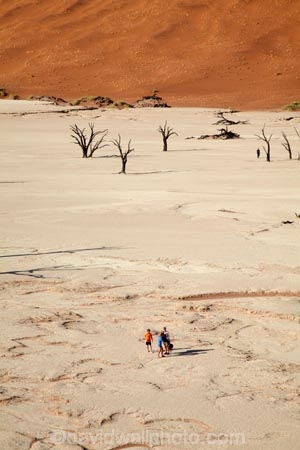 900-year-old-trees;adventure;adventurous;Africa;arid;big-dunes;children;clay-pan;clay-pans;dead-tree;dead-trees;Dead-Vlei;Deadvlei;desert;deserts;dry;dry-lake;dry-lake-bed;dry-lake-beds;dry-lakes;dune;dunes;families;family;family-holiday;family-holidays;giant-dune;giant-dunes;giant-sand-dune;giant-sand-dunes;holiday;holidays;hot;huge-dunes;lake-bed;large-dunes;Namib-Desert;Namib-Naukluft-N.P.;Namib-Naukluft-National-Park;Namib-Naukluft-NP;Namib_Naukluft-N.P.;Namib_Naukluft-National-Park;Namib_Naukluft-NP;Namibia;national-park;national-parks;natural;orange-sand;pan;people;person;remote;remoteness;reserve;reserves;salt-pan;salt-pans;sand;sand-dune;sand-dunes;sand-hill;sand-hills;sand_dune;sand_dunes;sand_hill;sand_hills;sanddune;sanddunes;sandhill;sandhills;sandy;Sossusvlei;Southern-Africa;tourism;tourist;tourists;tree-trunk;tree-trunks;vlei;white-clay-pan;wilderness
