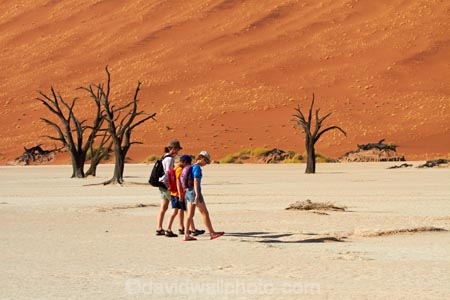 900-year-old-trees;adventure;adventurous;Africa;arid;big-dunes;children;clay-pan;clay-pans;dead-tree;dead-trees;Dead-Vlei;Deadvlei;desert;deserts;dry;dry-lake;dry-lake-bed;dry-lake-beds;dry-lakes;dune;dunes;families;family;family-holiday;family-holidays;giant-dune;giant-dunes;giant-sand-dune;giant-sand-dunes;holiday;holidays;hot;huge-dunes;lake-bed;large-dunes;Namib-Desert;Namib-Naukluft-N.P.;Namib-Naukluft-National-Park;Namib-Naukluft-NP;Namib_Naukluft-N.P.;Namib_Naukluft-National-Park;Namib_Naukluft-NP;Namibia;national-park;national-parks;natural;orange-sand;pan;people;person;remote;remoteness;reserve;reserves;salt-pan;salt-pans;sand;sand-dune;sand-dunes;sand-hill;sand-hills;sand_dune;sand_dunes;sand_hill;sand_hills;sanddune;sanddunes;sandhill;sandhills;sandy;Sossusvlei;Southern-Africa;tourism;tourist;tourists;tree-trunk;tree-trunks;vlei;white-clay-pan;wilderness
