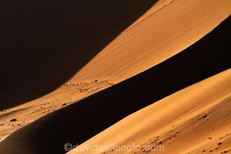 Africa;arid;big-dunes;curve;curves;desert;deserts;dry;dune;dunes;giant-dune;giant-dunes;giant-sand-dune;giant-sand-dunes;hot;huge-dunes;large-dunes;Namib-Desert;Namib-Naukluft-N.P.;Namib-Naukluft-National-Park;Namib-Naukluft-NP;Namib_Naukluft-N.P.;Namib_Naukluft-National-Park;Namib_Naukluft-NP;Namibia;national-park;national-parks;natural;orange-sand;remote;remoteness;reserve;reserves;sand;sand-dune;sand-dunes;sand-hill;sand-hills;sand_dune;sand_dunes;sand_hill;sand_hills;sanddune;sanddunes;sandhill;sandhills;sandy;Southern-Africa;wilderness