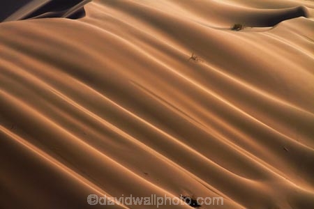 Africa;arid;big-dunes;desert;deserts;dry;dune;dunes;giant-dune;giant-dunes;giant-sand-dune;giant-sand-dunes;hot;huge-dunes;large-dunes;Namib-Desert;Namib-Naukluft-N.P.;Namib-Naukluft-National-Park;Namib-Naukluft-NP;Namib_Naukluft-N.P.;Namib_Naukluft-National-Park;Namib_Naukluft-NP;Namibia;national-park;national-parks;natural;remote;remoteness;reserve;reserves;sand;sand-dune;sand-dunes;sand-hill;sand-hills;sand_dune;sand_dunes;sand_hill;sand_hills;sanddune;sanddunes;sandhill;sandhills;sandy;Southern-Africa;wilderness
