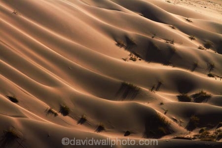 Africa;arid;big-dunes;desert;deserts;dry;dune;dunes;giant-dune;giant-dunes;giant-sand-dune;giant-sand-dunes;hot;huge-dunes;large-dunes;Namib-Desert;Namib-Naukluft-N.P.;Namib-Naukluft-National-Park;Namib-Naukluft-NP;Namib_Naukluft-N.P.;Namib_Naukluft-National-Park;Namib_Naukluft-NP;Namibia;national-park;national-parks;natural;remote;remoteness;reserve;reserves;sand;sand-dune;sand-dunes;sand-hill;sand-hills;sand_dune;sand_dunes;sand_hill;sand_hills;sanddune;sanddunes;sandhill;sandhills;sandy;Southern-Africa;wilderness