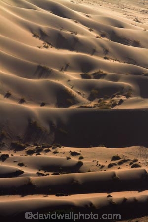 Africa;arid;big-dunes;desert;deserts;dry;dune;dunes;giant-dune;giant-dunes;giant-sand-dune;giant-sand-dunes;hot;huge-dunes;large-dunes;Namib-Desert;Namib-Naukluft-N.P.;Namib-Naukluft-National-Park;Namib-Naukluft-NP;Namib_Naukluft-N.P.;Namib_Naukluft-National-Park;Namib_Naukluft-NP;Namibia;national-park;national-parks;natural;remote;remoteness;reserve;reserves;sand;sand-dune;sand-dunes;sand-hill;sand-hills;sand_dune;sand_dunes;sand_hill;sand_hills;sanddune;sanddunes;sandhill;sandhills;sandy;Southern-Africa;wilderness