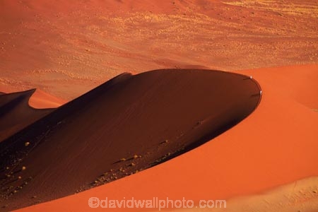 Africa;arid;big-dunes;curve;curves;desert;deserts;dry;dune;dunes;giant-dune;giant-dunes;giant-sand-dune;giant-sand-dunes;hot;huge-dunes;large-dunes;Namib-Desert;Namib-Naukluft-N.P.;Namib-Naukluft-National-Park;Namib-Naukluft-NP;Namib_Naukluft-N.P.;Namib_Naukluft-National-Park;Namib_Naukluft-NP;Namibia;national-park;national-parks;natural;orange-sand;people;person;remote;remoteness;reserve;reserves;sand;sand-dune;sand-dunes;sand-hill;sand-hills;sand_dune;sand_dunes;sand_hill;sand_hills;sanddune;sanddunes;sandhill;sandhills;sandy;Sossusvlei;Southern-Africa;tourism;tourist;tourists;wilderness