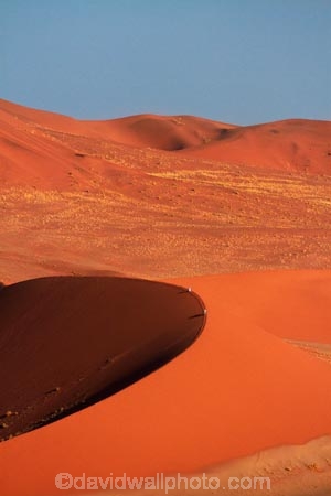 Africa;arid;big-dunes;curve;curves;desert;deserts;dry;dune;dunes;giant-dune;giant-dunes;giant-sand-dune;giant-sand-dunes;hot;huge-dunes;large-dunes;Namib-Desert;Namib-Naukluft-N.P.;Namib-Naukluft-National-Park;Namib-Naukluft-NP;Namib_Naukluft-N.P.;Namib_Naukluft-National-Park;Namib_Naukluft-NP;Namibia;national-park;national-parks;natural;orange-sand;people;person;remote;remoteness;reserve;reserves;sand;sand-dune;sand-dunes;sand-hill;sand-hills;sand_dune;sand_dunes;sand_hill;sand_hills;sanddune;sanddunes;sandhill;sandhills;sandy;Sossusvlei;Southern-Africa;tourism;tourist;tourists;wilderness