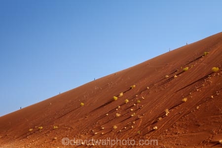 Africa;arid;big-dunes;Dead-vlei;Deadvlei;desert;deserts;dry;dune;dunes;giant-dune;giant-dunes;giant-sand-dune;giant-sand-dunes;hot;huge-dunes;large-dunes;Namib-Desert;Namib-Naukluft-N.P.;Namib-Naukluft-National-Park;Namib-Naukluft-NP;Namib_Naukluft-N.P.;Namib_Naukluft-National-Park;Namib_Naukluft-NP;Namibia;national-park;national-parks;natural;orange-sand;people;person;remote;remoteness;reserve;reserves;sand;sand-dune;sand-dunes;sand-hill;sand-hills;sand_dune;sand_dunes;sand_hill;sand_hills;sanddune;sanddunes;sandhill;sandhills;sandy;Sossusvlei;Southern-Africa;tourism;tourist;tourists;wilderness