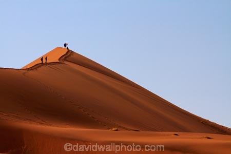 Africa;arid;big-dunes;Dead-vlei;Deadvlei;desert;deserts;dry;dune;dunes;giant-dune;giant-dunes;giant-sand-dune;giant-sand-dunes;hot;huge-dunes;large-dunes;Namib-Desert;Namib-Naukluft-N.P.;Namib-Naukluft-National-Park;Namib-Naukluft-NP;Namib_Naukluft-N.P.;Namib_Naukluft-National-Park;Namib_Naukluft-NP;Namibia;national-park;national-parks;natural;orange-sand;people;person;remote;remoteness;reserve;reserves;sand;sand-dune;sand-dunes;sand-hill;sand-hills;sand_dune;sand_dunes;sand_hill;sand_hills;sanddune;sanddunes;sandhill;sandhills;sandy;Sossusvlei;Southern-Africa;tourism;tourist;tourists;wilderness