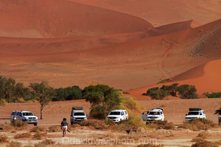 4wd;4wds;4wds;4x4;4x4s;4x4s;Africa;arid;big-dunes;Bushlore;Bushlore-4x4;Bushlore-4x4-camper;camper;campers;Dead-vlei;Deadvlei;desert;deserts;double-cab-hilux;dry;dune;dunes;four-by-four;four-by-fours;four-wheel-drive;four-wheel-drives;giant-dune;giant-dunes;giant-sand-dune;giant-sand-dunes;Hilux;hilux-camper;Hiluxes;hot;huge-dunes;large-dunes;Namib-Desert;Namib-Naukluft-N.P.;Namib-Naukluft-National-Park;Namib-Naukluft-NP;Namib_Naukluft-N.P.;Namib_Naukluft-National-Park;Namib_Naukluft-NP;Namibia;national-park;national-parks;natural;orange-sand;remote;remoteness;reserve;reserves;roof-tent;roof-tents;sand;sand-dune;sand-dunes;sand-hill;sand-hills;sand_dune;sand_dunes;sand_hill;sand_hills;sanddune;sanddunes;sandhill;sandhills;sandy;Sossusvlei;Southern-Africa;sports-utility-vehicle;sports-utility-vehicles;suv;suvs;Toyota;toyota-camper;Toyota-Hilux;Toyota-Hiluxes;Toyotas;twin-cab-hilux;vehicle;vehicles;wilderness