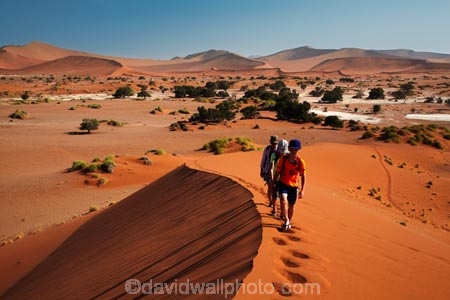 Africa;arid;big-dunes;children;desert;deserts;dry;dune;dunes;families;family;family-holiday;family-holidays;giant-dune;giant-dunes;giant-sand-dune;giant-sand-dunes;holiday;holidays;hot;huge-dunes;large-dunes;Namib-Desert;Namib-Naukluft-N.P.;Namib-Naukluft-National-Park;Namib-Naukluft-NP;Namib_Naukluft-N.P.;Namib_Naukluft-National-Park;Namib_Naukluft-NP;Namibia;national-park;national-parks;natural;orange-sand;people;person;remote;remoteness;reserve;reserves;sand;sand-dune;sand-dunes;sand-hill;sand-hills;sand_dune;sand_dunes;sand_hill;sand_hills;sanddune;sanddunes;sandhill;sandhills;sandy;Sossusvlei;Southern-Africa;tourism;tourist;tourists;wilderness