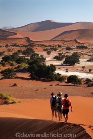 Africa;arid;big-dunes;children;desert;deserts;dry;dune;dunes;families;family;family-holiday;family-holidays;giant-dune;giant-dunes;giant-sand-dune;giant-sand-dunes;holiday;holidays;hot;huge-dunes;large-dunes;Namib-Desert;Namib-Naukluft-N.P.;Namib-Naukluft-National-Park;Namib-Naukluft-NP;Namib_Naukluft-N.P.;Namib_Naukluft-National-Park;Namib_Naukluft-NP;Namibia;national-park;national-parks;natural;orange-sand;people;person;remote;remoteness;reserve;reserves;sand;sand-dune;sand-dunes;sand-hill;sand-hills;sand_dune;sand_dunes;sand_hill;sand_hills;sanddune;sanddunes;sandhill;sandhills;sandy;Sossusvlei;Southern-Africa;tourism;tourist;tourists;wilderness