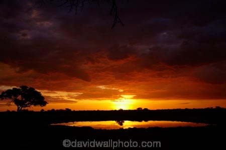 Africa;calm;dusk;Etosha-N.P.;Etosha-National-Park;Etosha-NP;evening;game-park;game-parks;game-reserve;game-reserves;Namibia;national-park;national-parks;night;night_time;nightfall;Okaukuejo;Okaukuejo-Camp;Okaukuejo-Rest-Camp;Okaukuejo-waterhole;orange;placid;quiet;reflected;reflection;reflections;serene;smooth;Southern-Africa;still;sunset;sunsets;tranquil;twilight;water;waterhole;waterholes;wildlife-park;wildlife-parks;wildlife-reserve;wildlife-reserves