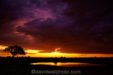 Africa;calm;dusk;Etosha-N.P.;Etosha-National-Park;Etosha-NP;evening;game-park;game-parks;game-reserve;game-reserves;Namibia;national-park;national-parks;night;night_time;nightfall;Okaukuejo;Okaukuejo-Camp;Okaukuejo-Rest-Camp;Okaukuejo-waterhole;orange;placid;quiet;reflected;reflection;reflections;serene;smooth;Southern-Africa;still;sunset;sunsets;tranquil;twilight;water;waterhole;waterholes;wildlife-park;wildlife-parks;wildlife-reserve;wildlife-reserves