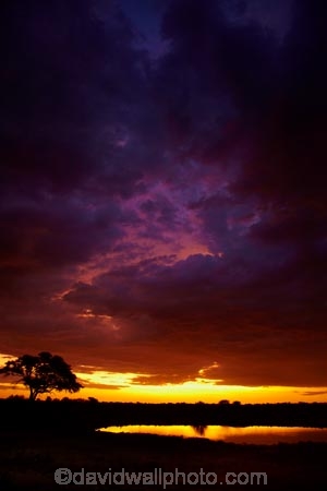 Africa;calm;dusk;Etosha-N.P.;Etosha-National-Park;Etosha-NP;evening;game-park;game-parks;game-reserve;game-reserves;Namibia;national-park;national-parks;night;night_time;nightfall;Okaukuejo;Okaukuejo-Camp;Okaukuejo-Rest-Camp;Okaukuejo-waterhole;orange;placid;quiet;reflected;reflection;reflections;serene;smooth;Southern-Africa;still;sunset;sunsets;tranquil;twilight;water;waterhole;waterholes;wildlife-park;wildlife-parks;wildlife-reserve;wildlife-reserves
