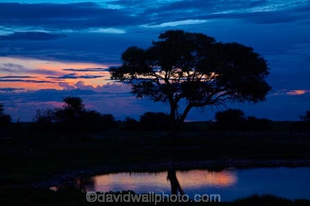 Africa;cloud;clouds;cloudy;dusk;Etosha-N.P.;Etosha-National-Park;Etosha-NP;evening;game-park;game-parks;game-reserve;game-reserves;Namibia;national-park;national-parks;night;night_time;nightfall;Okaukuejo;Okaukuejo-Camp;Okaukuejo-Rest-Camp;Okaukuejo-waterhole;Southern-Africa;sunset;sunsets;twilight;waterhole;waterholes;wildlife-park;wildlife-parks;wildlife-reserve;wildlife-reserves
