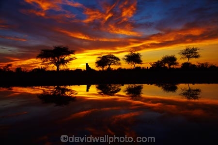 Africa;break-of-day;calm;dawn;dawning;daybreak;Etosha-N.P.;Etosha-National-Park;Etosha-NP;first-light;game-park;game-parks;game-reserve;game-reserves;morning;Namibia;national-park;national-parks;Okaukuejo;Okaukuejo-camp-ground;Okaukuejo-camp-site;Okaukuejo-campground;Okaukuejo-campsite;Okaukuejo-Rest-Camp;orange;placid;quiet;reflected;reflection;reflections;serene;smooth;Southern-Africa;still;sunrise;sunrises;sunup;tranquil;twilight;water;wildlife-park;wildlife-parks;wildlife-reserve;wildlife-reserves