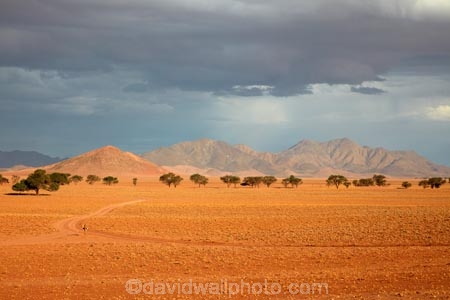 Africa;African;desert;deserts;Namib-Desert;Namib-Rand;Namib-Rand-Nature-Reserve;Namibia;NamibRand;NamibRand-Family-Hideout;NamibRand-Nature-Reserve;NamibRand-Reserve;NRNR;plain;safari;safaris;sand;sandy;Southern-Africa;Southern-Namibia